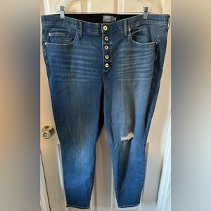 Torrid jeans
